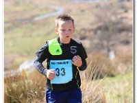 2015-04-18 -D47I2117 : ras y moelwyn